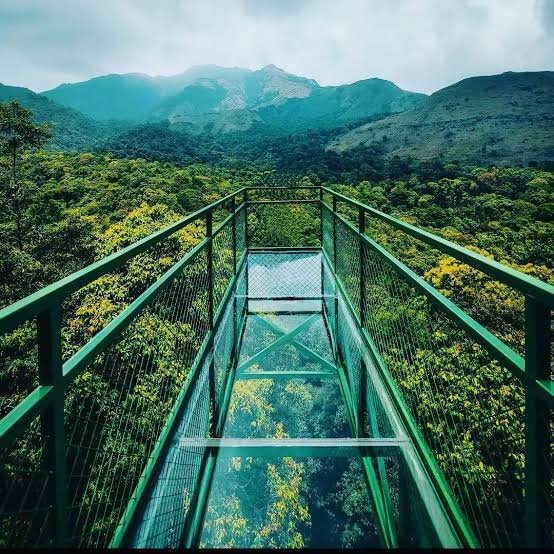 Glass Bridge, Coorg: Timings, Entry Fee, Best Time to Visit (Complete Guide)